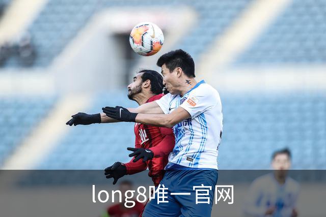 long8唯一官网 公司简介